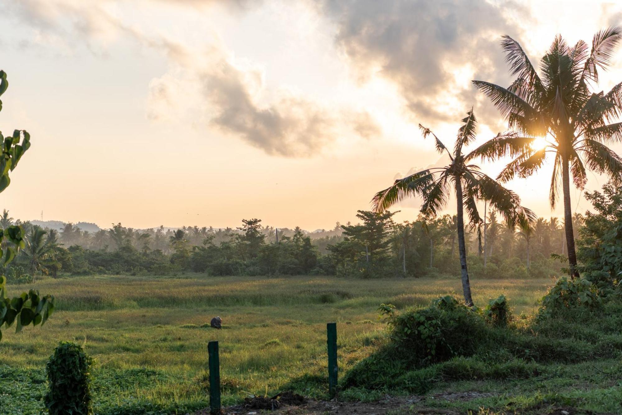 The Hillside Resort Siargao General Luna  Exterior photo